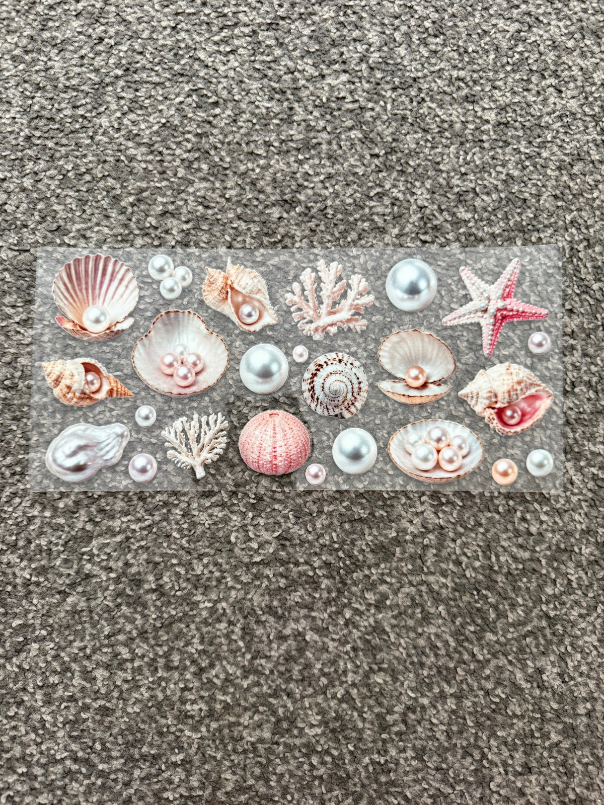 Shells & Pearls