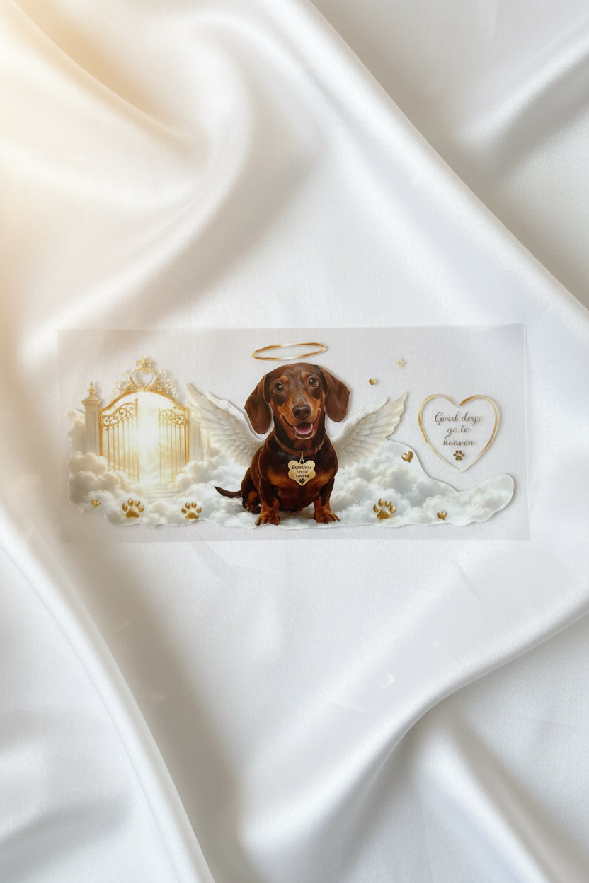 Good dogs go to heaven
