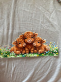Cows