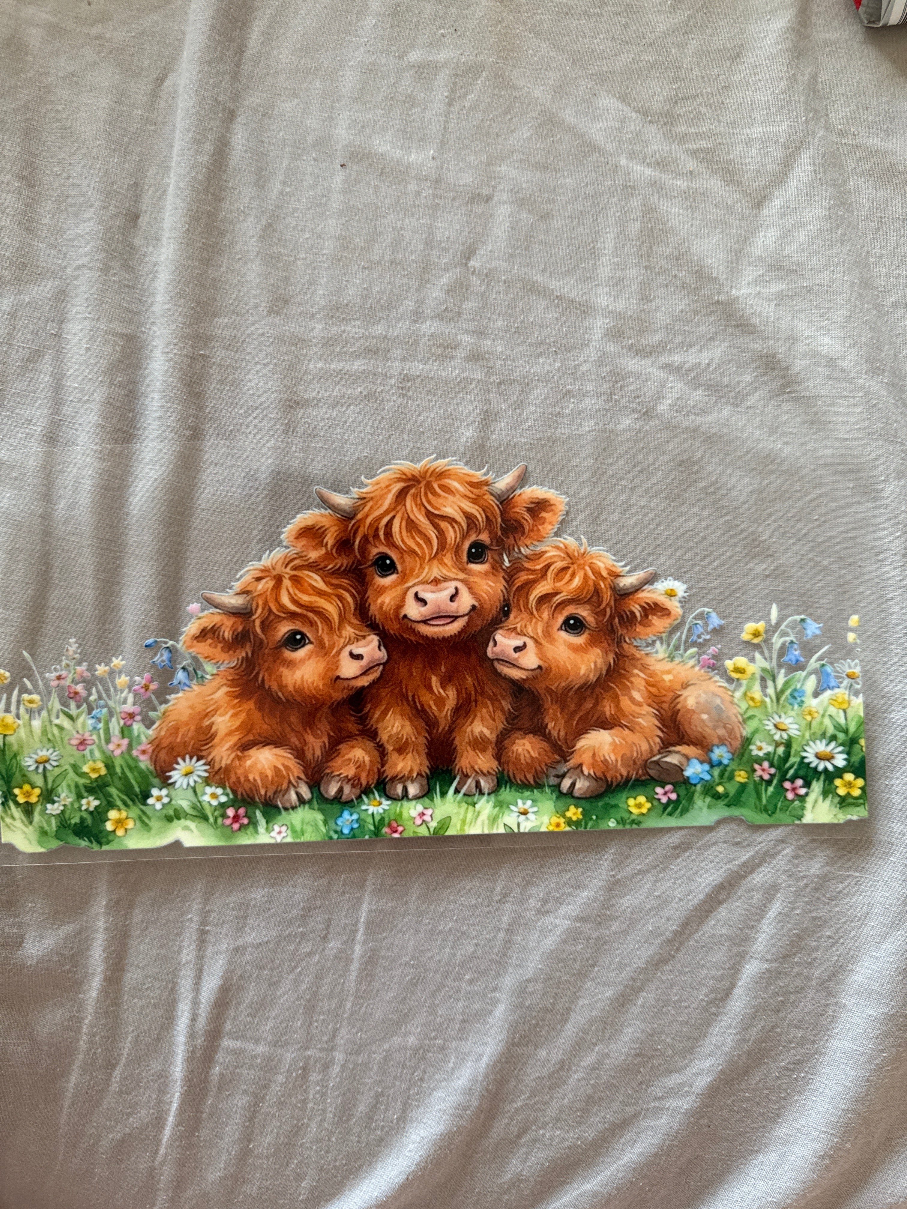 Cows