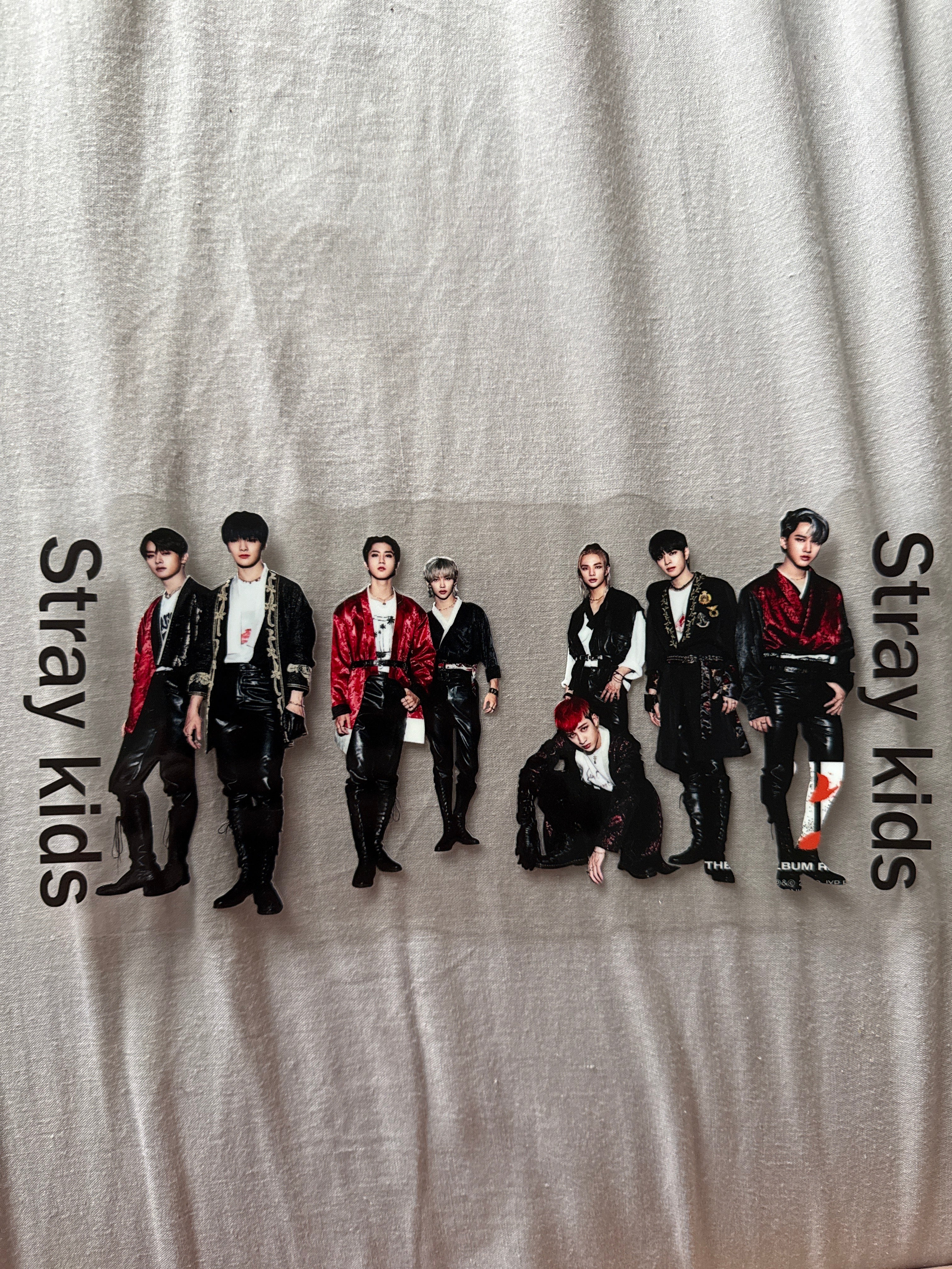 Stray kids