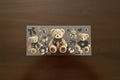 Teddies