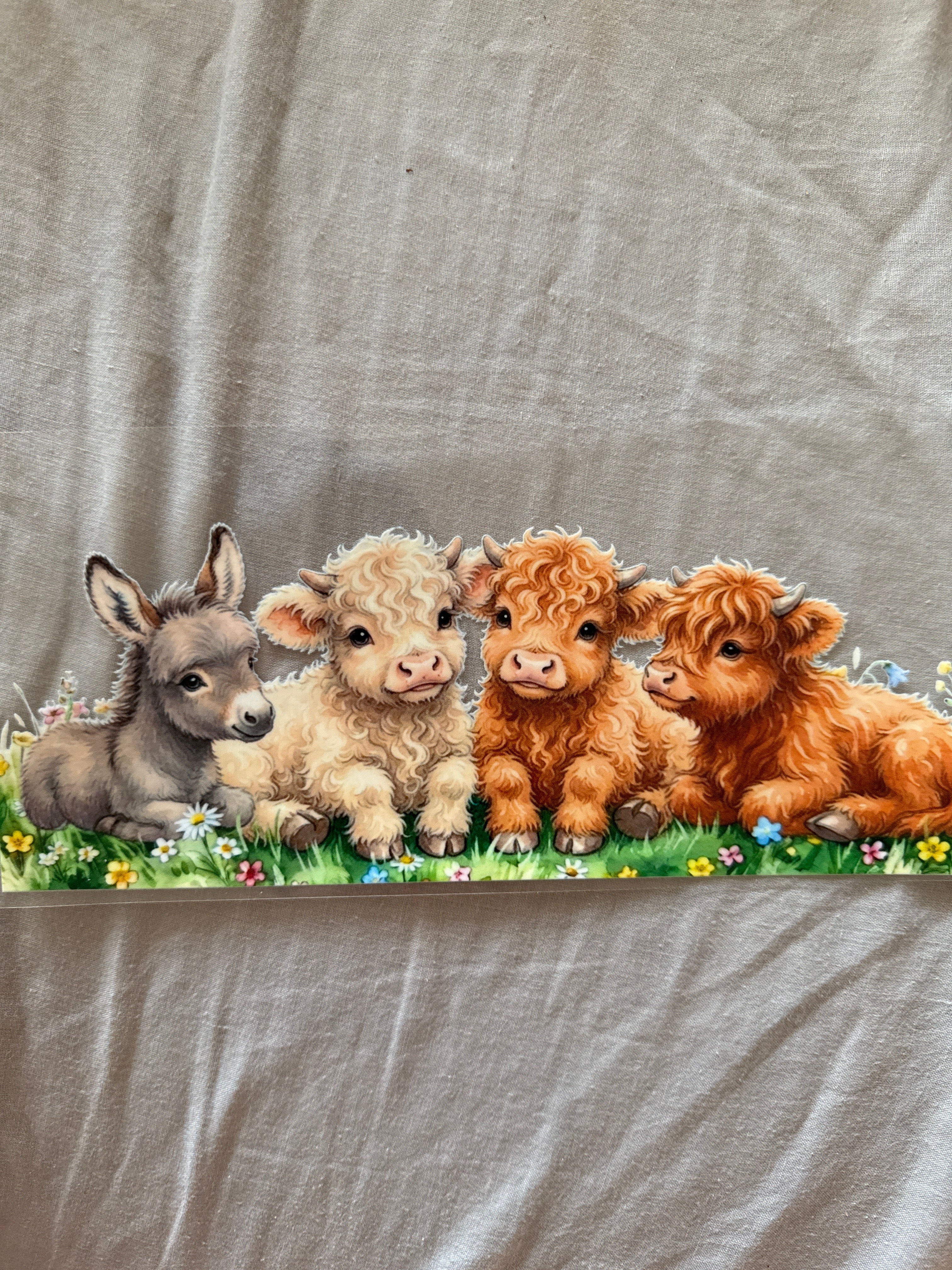 Cows & donkey