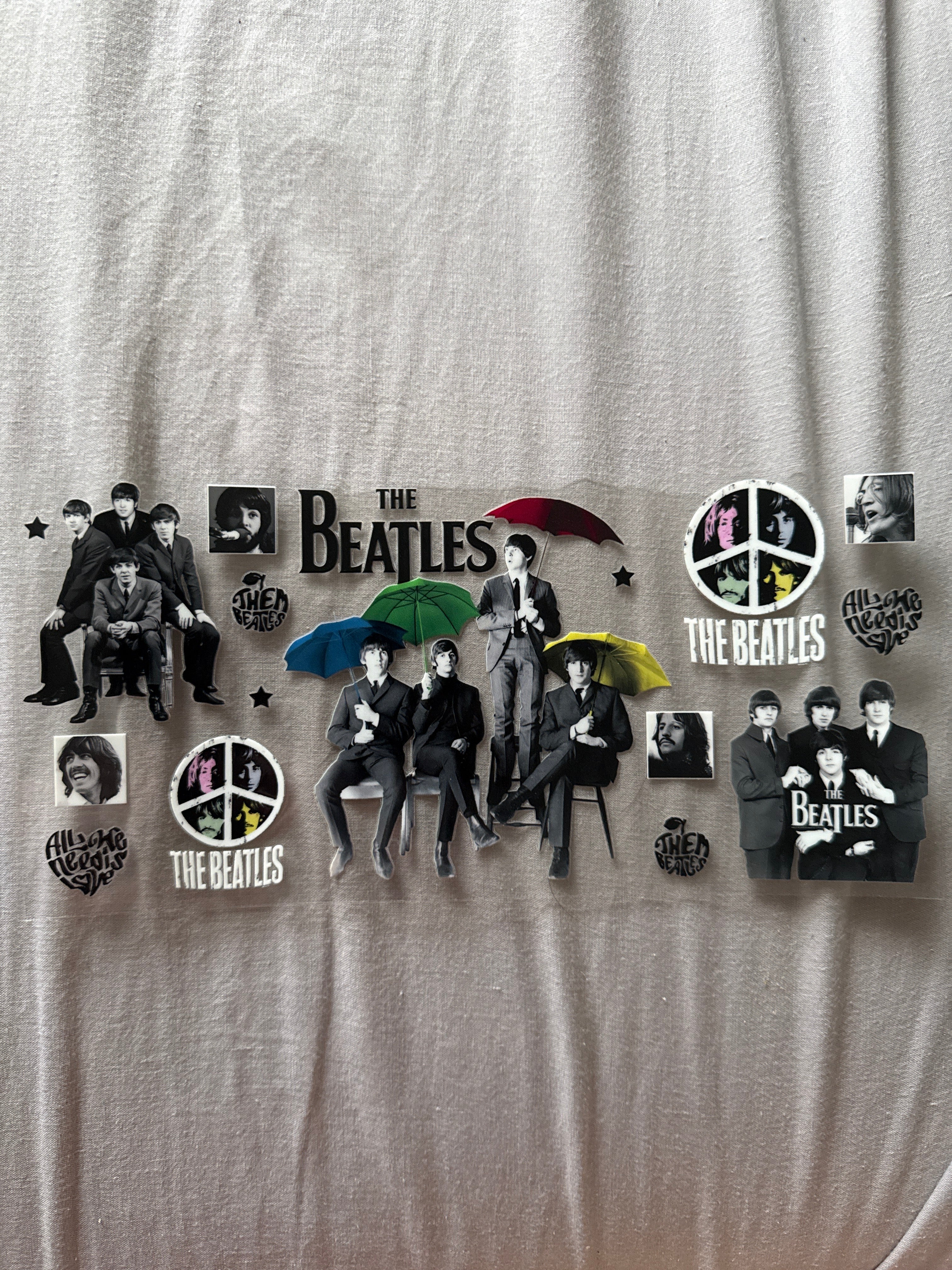 The beetles
